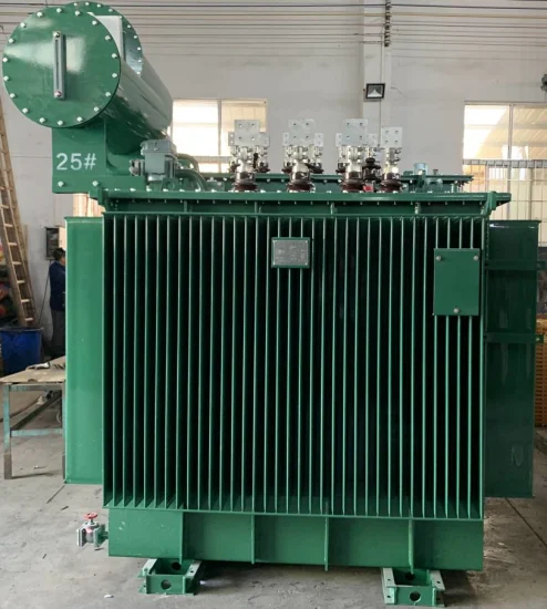 10kV 800kVA 오일 냉각 변압기 유통 MVA 전력 변압기